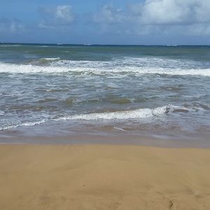 Meet your Posher, Ty